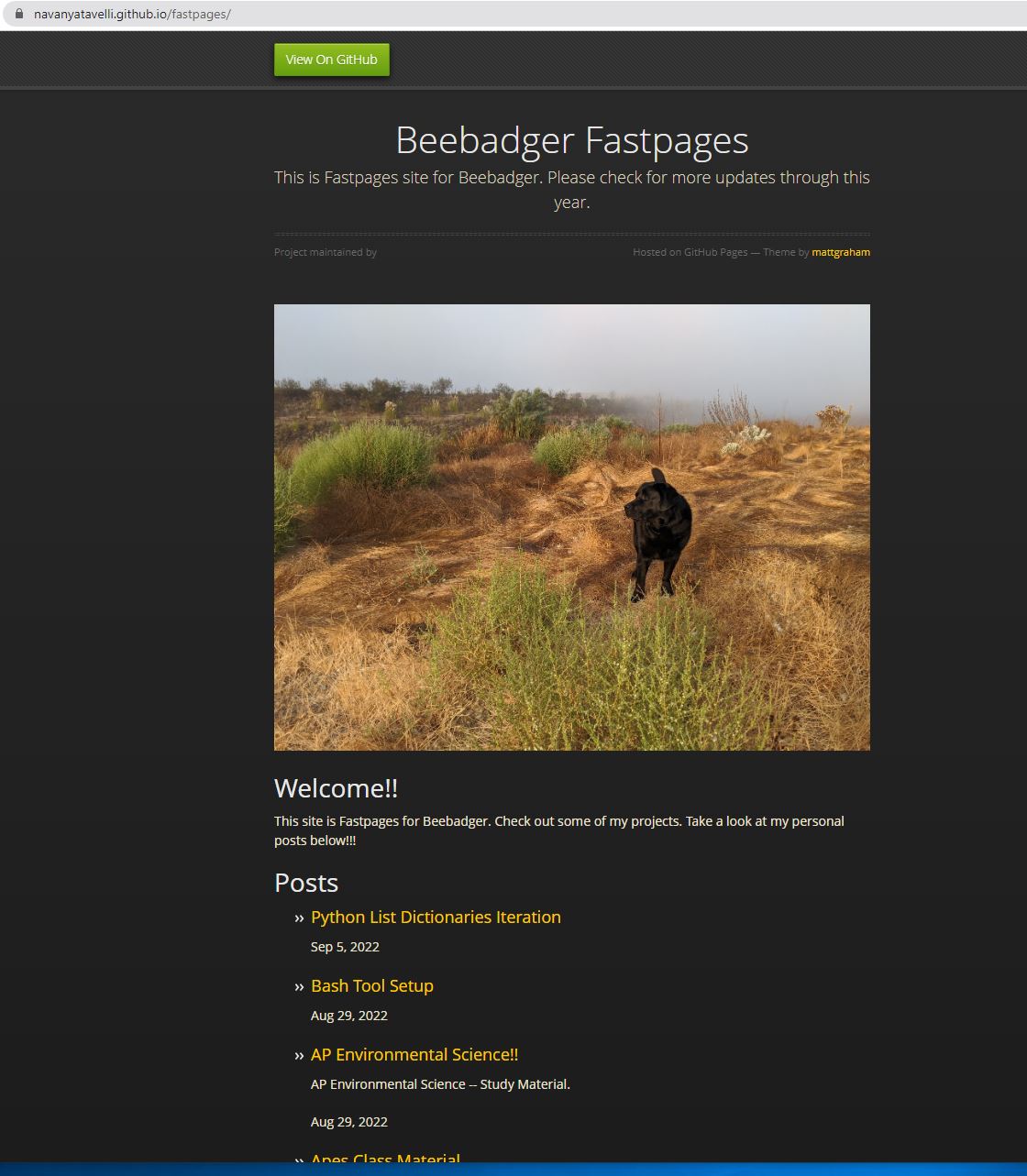 Beebadger Blog Header